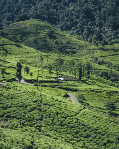 a house in a valley