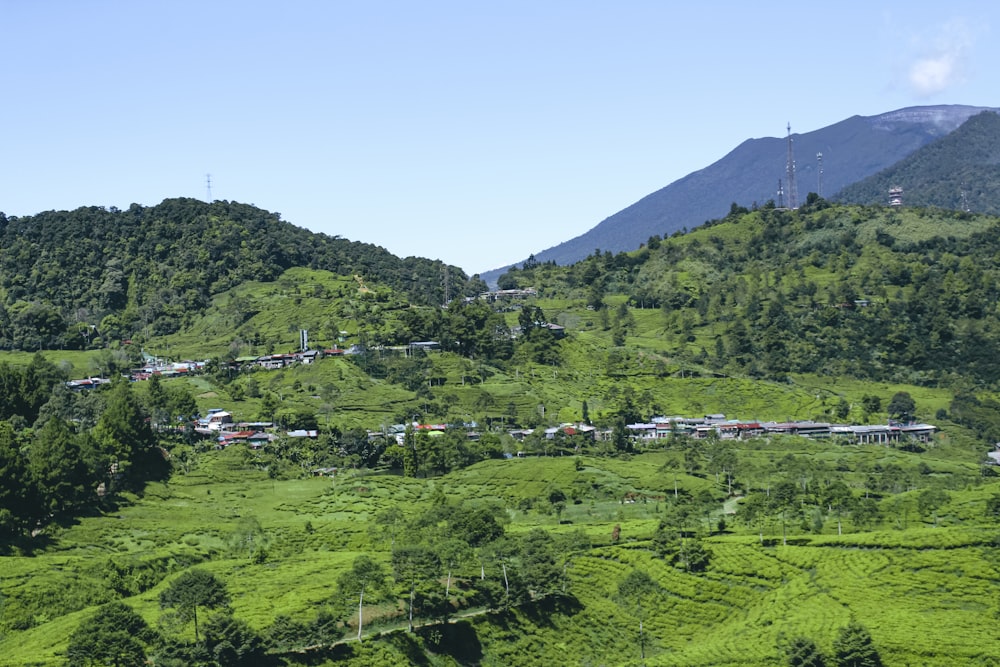 a landscape with trees and buildings