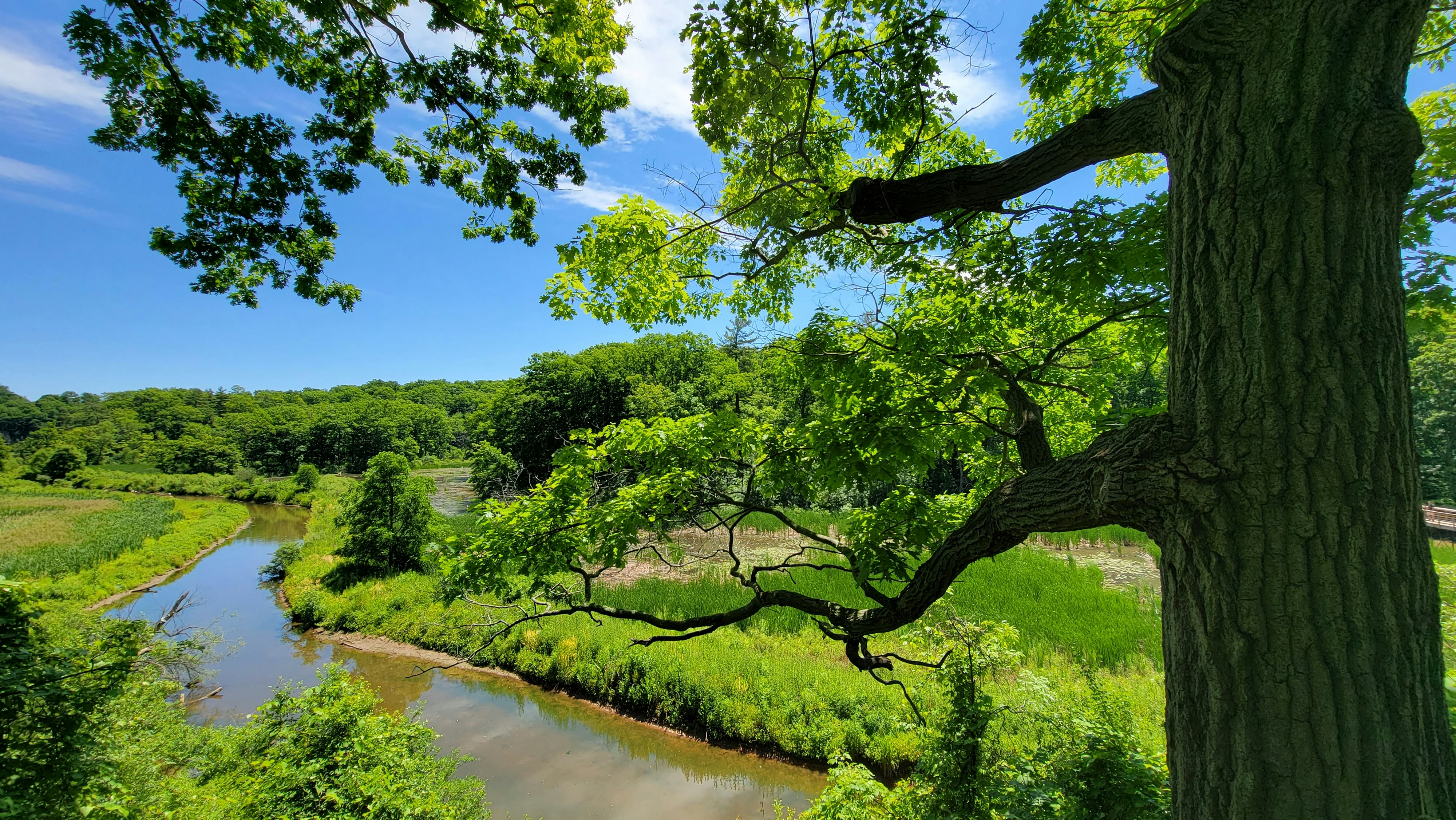 Nissequogue River State Park