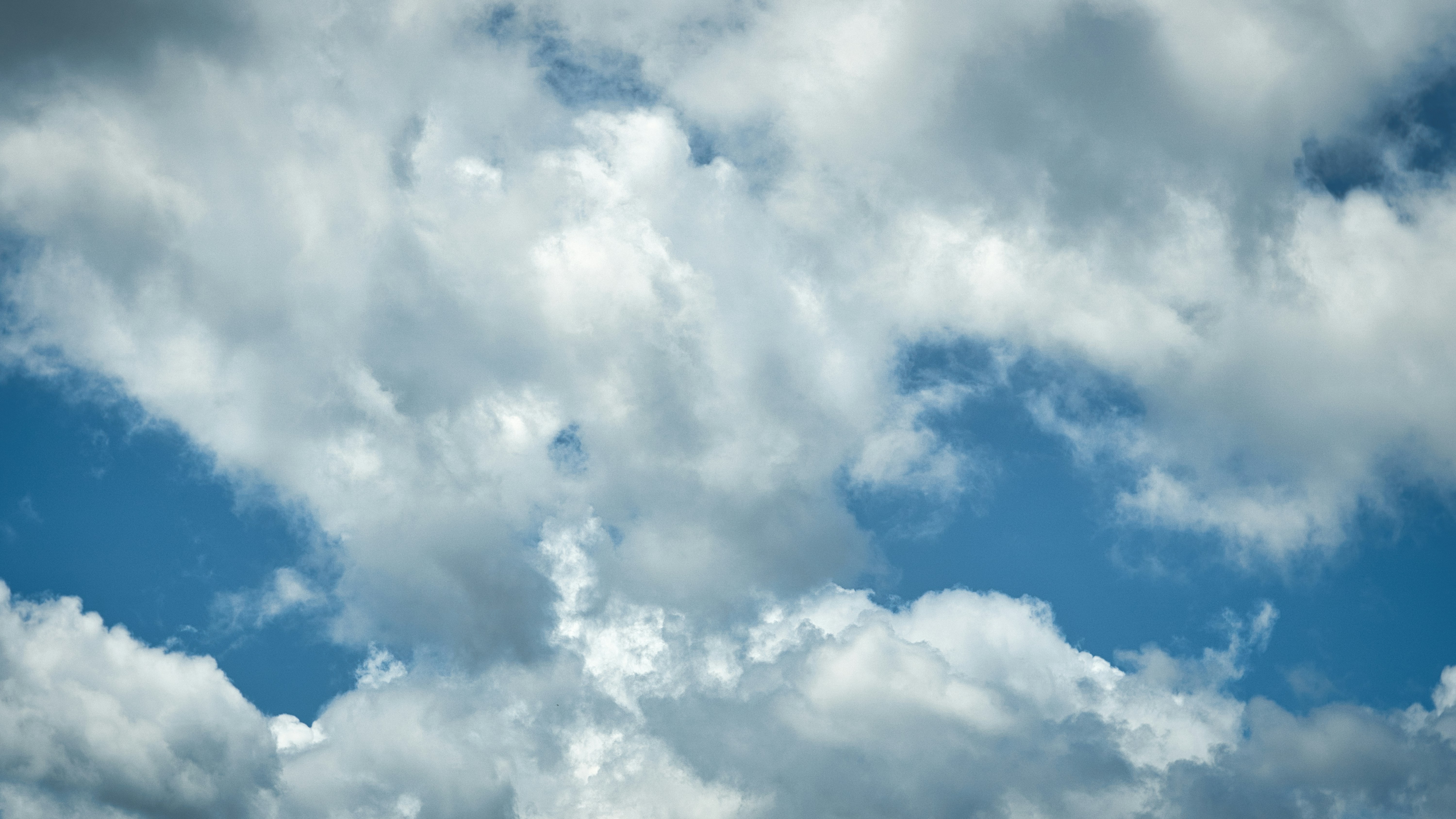 Photo by thomaskinto