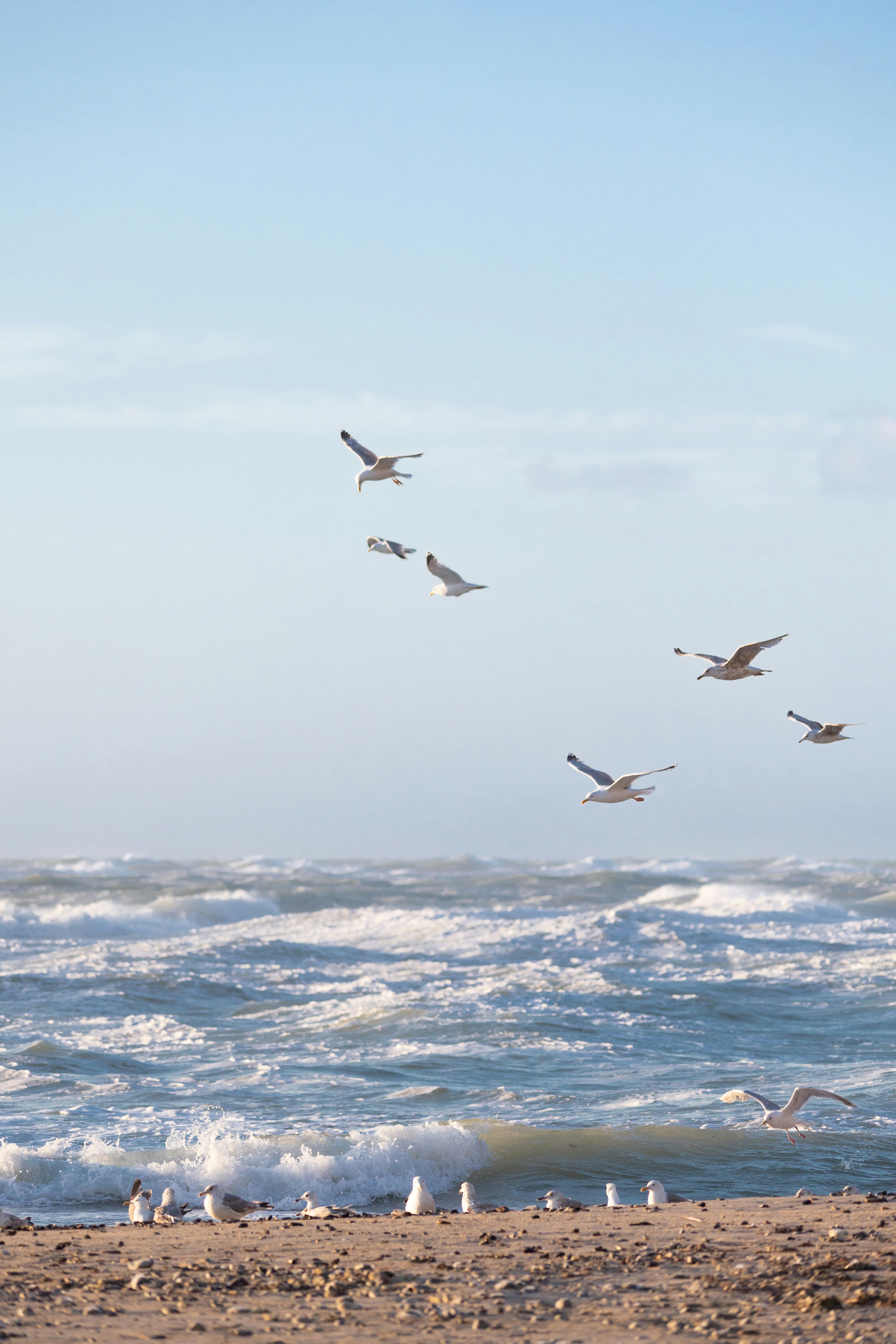 Photo by fridalannerstrom