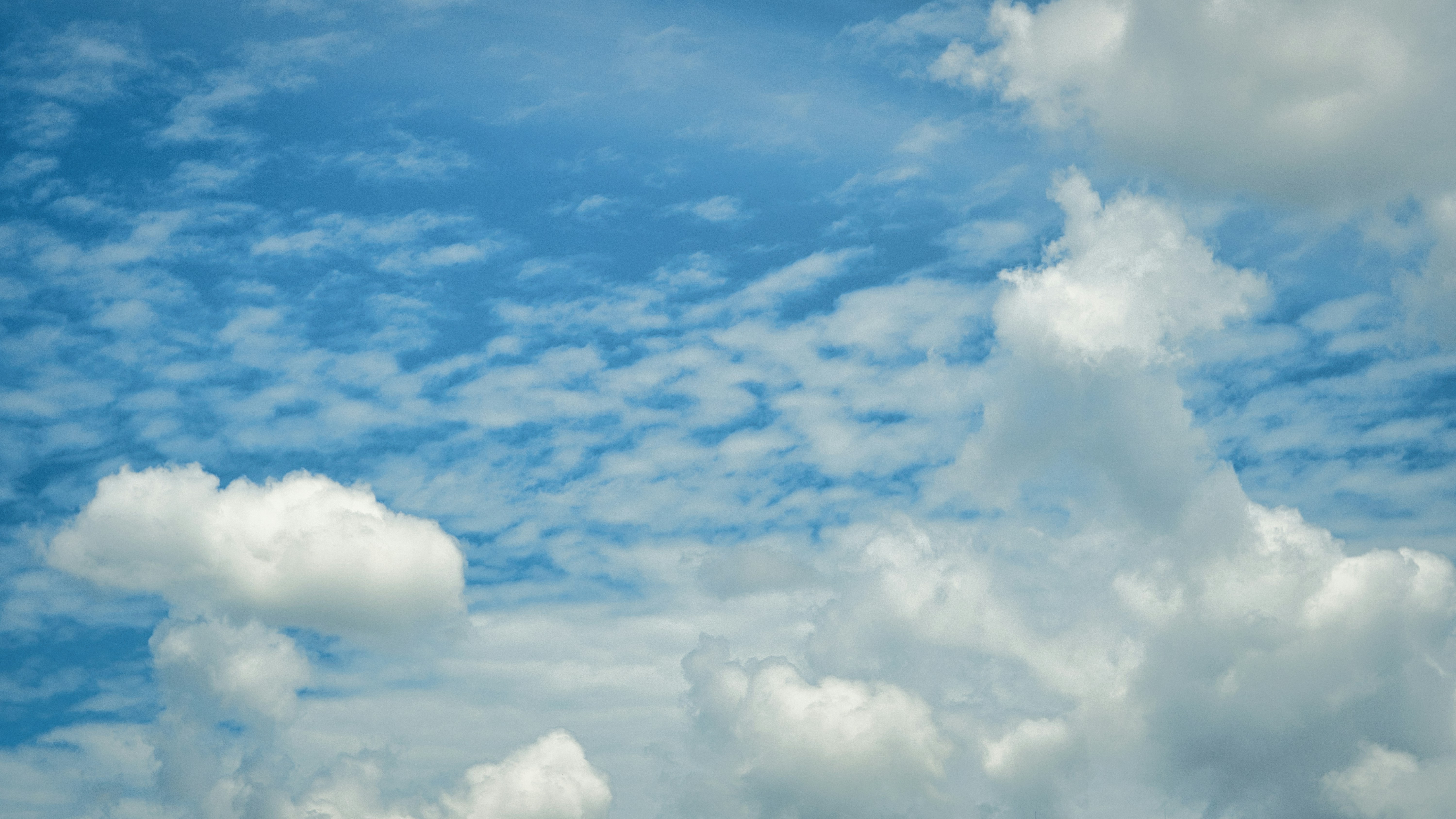 Photo by thomaskinto