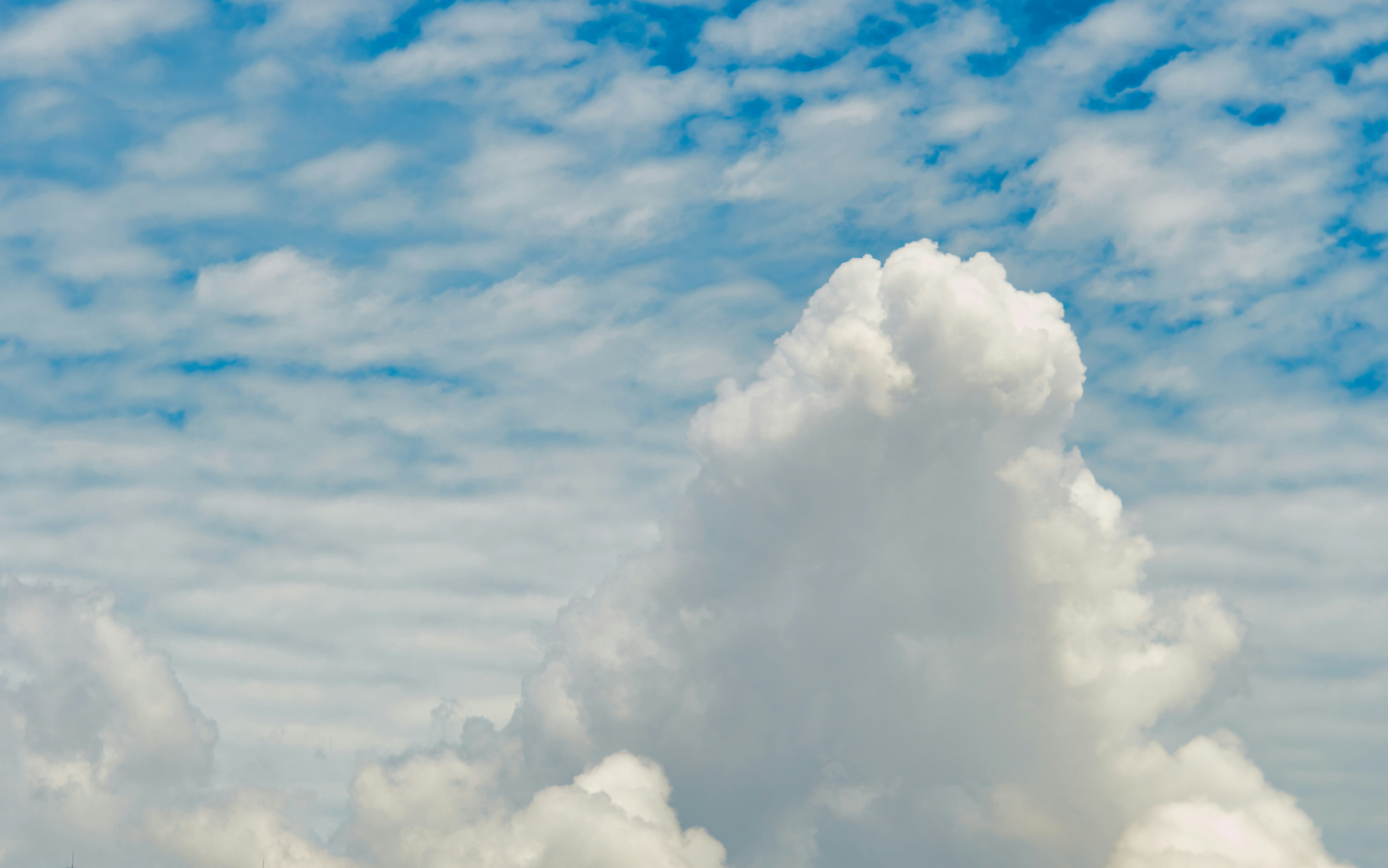 Photo by thomaskinto