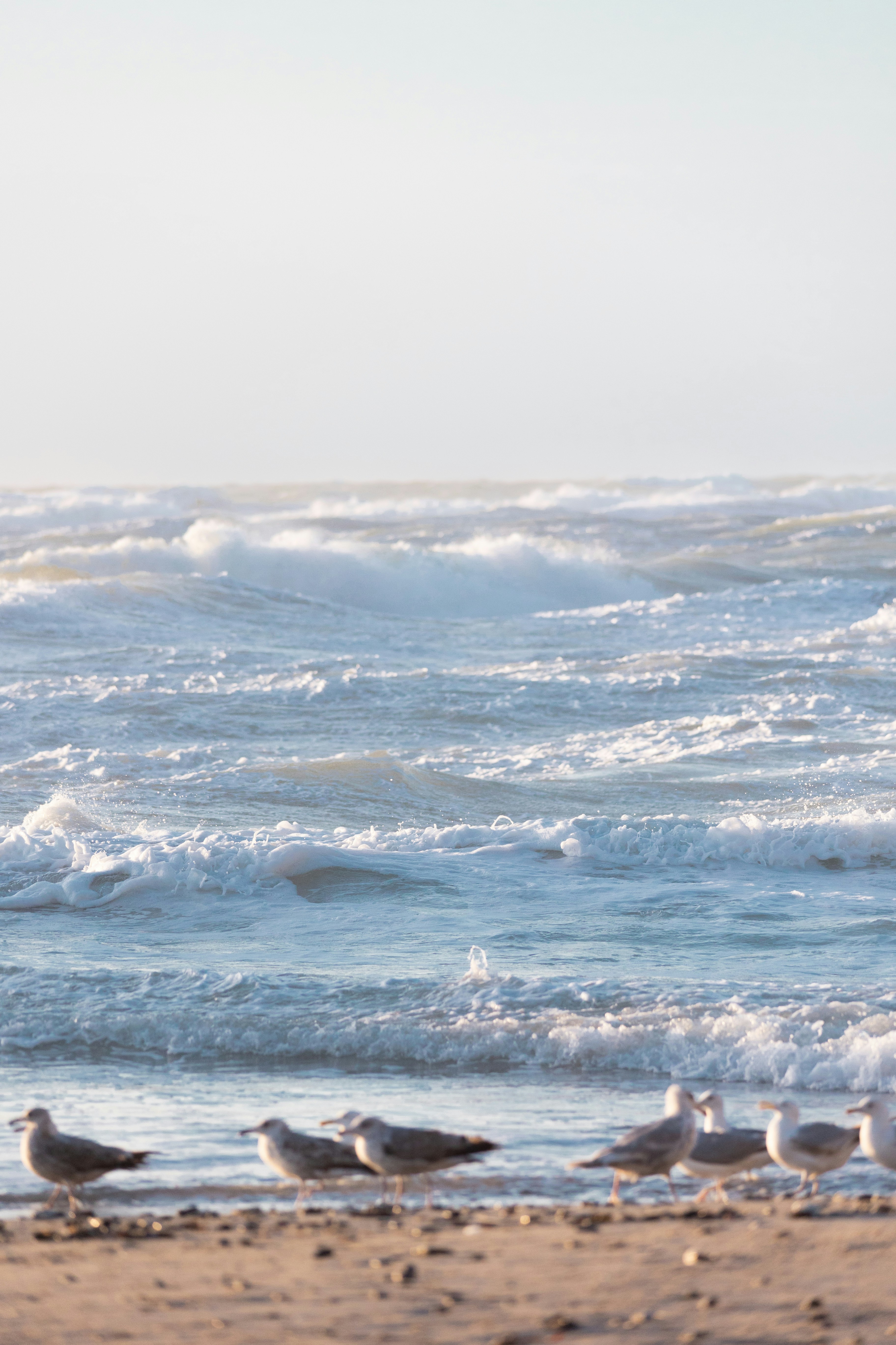 Photo by fridalannerstrom