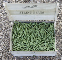 Freshly harvested organic vegetables and fruits displayed in rustic wooden crates.