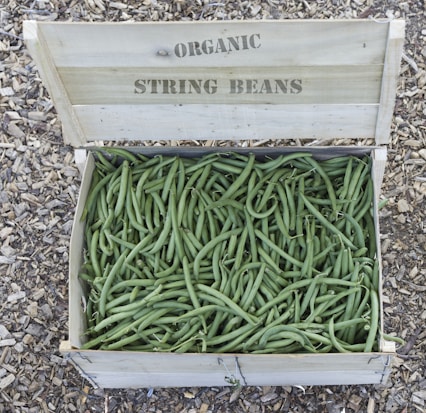A wooden crate filled with fresh, organic string beans sits on a ground covered with wood chips. The crate is labeled 'Organic String Beans.'