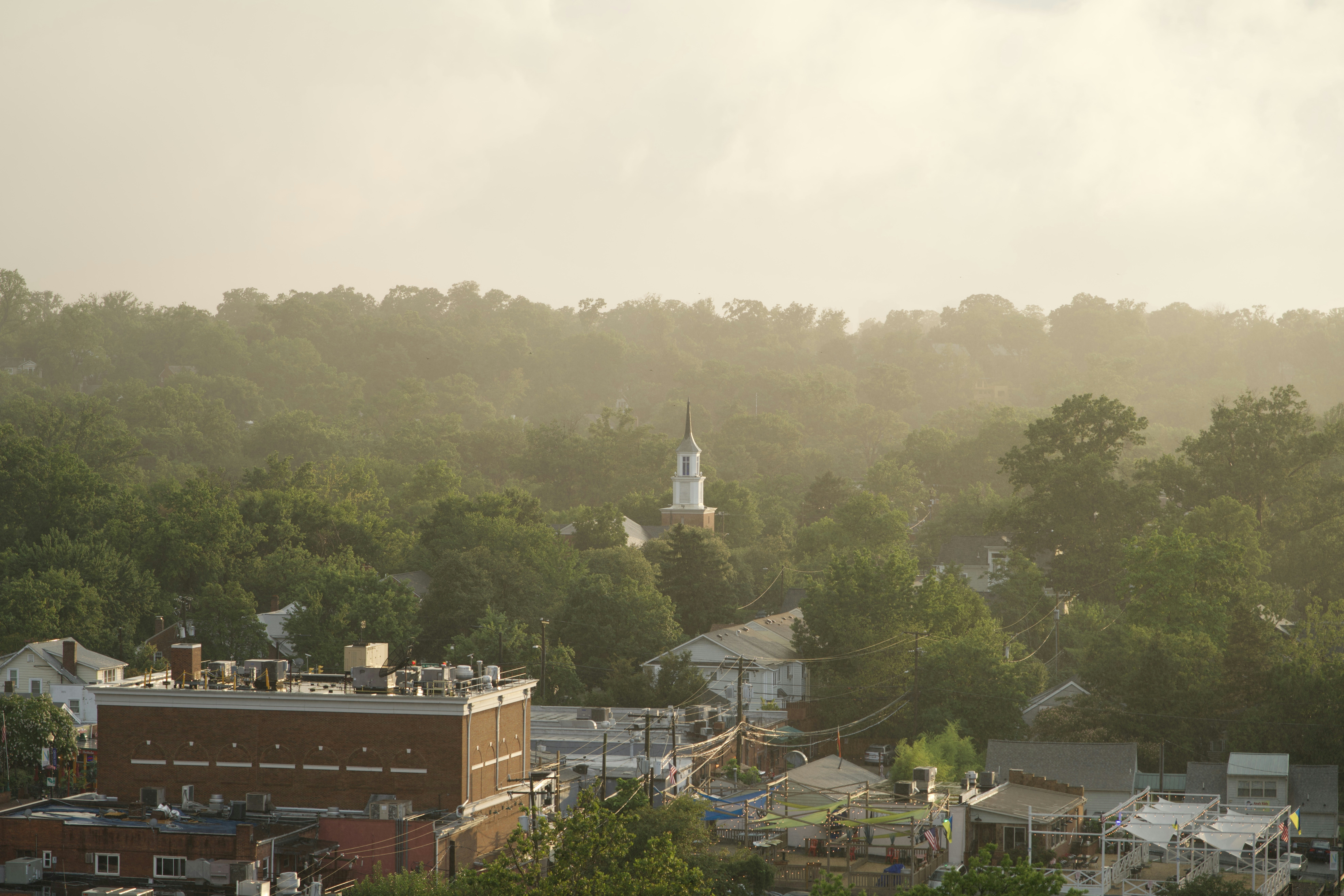 Containers in Leesville, SC