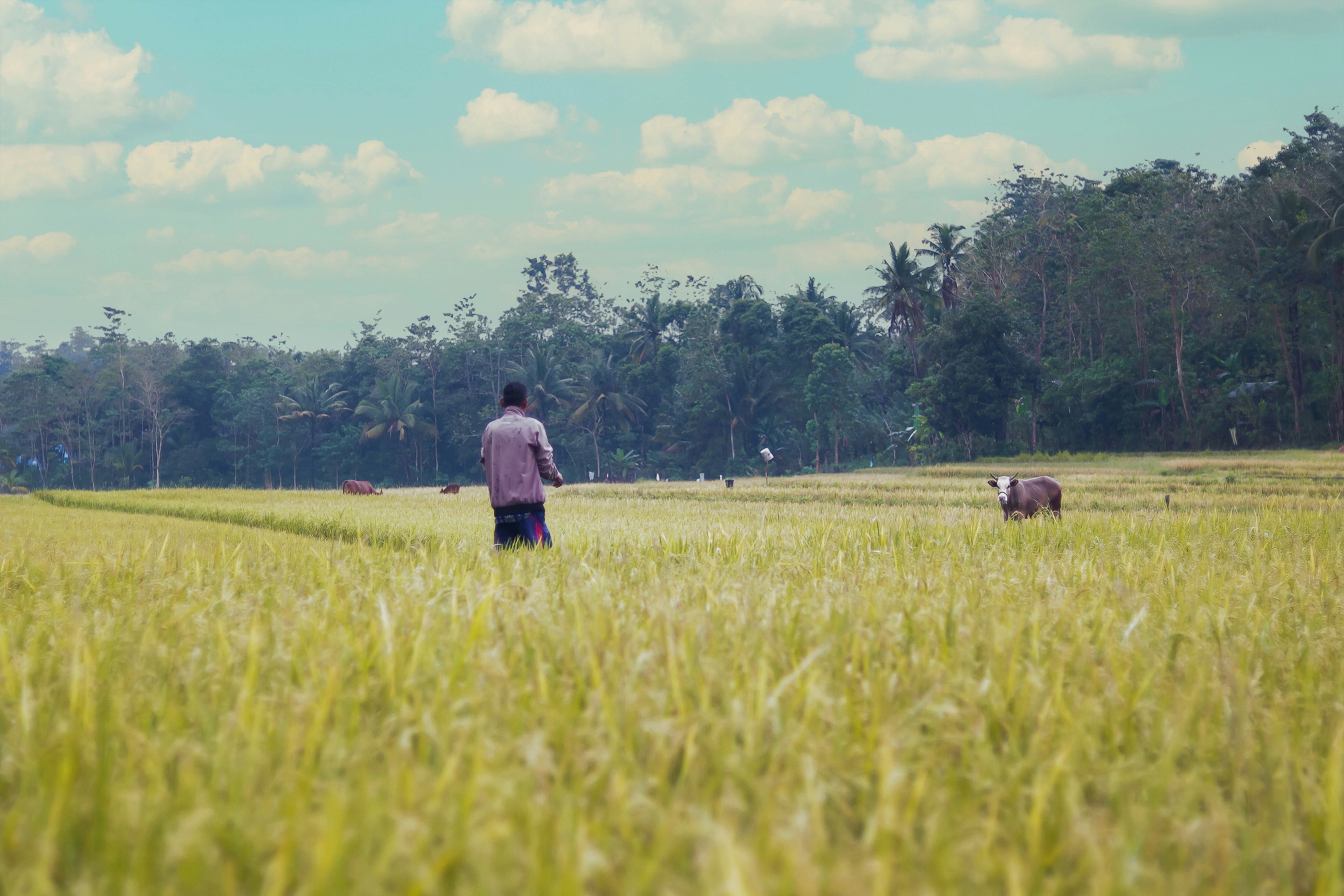 Photo by zainal_motivoid