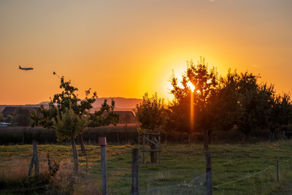 a field with a fence and trees in the background