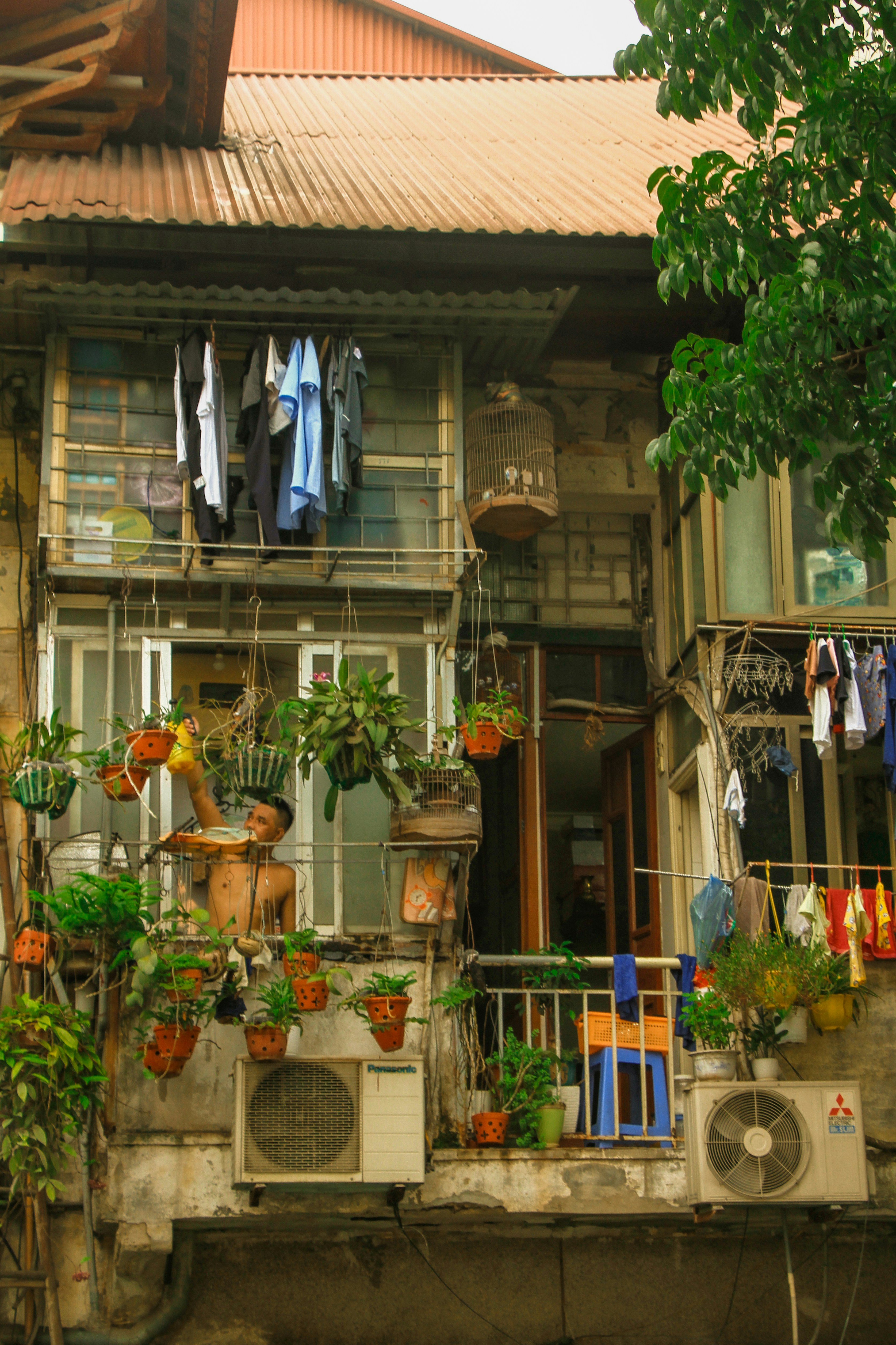 Cycling Through Rice Paddies: The Authentic Countryside Experience