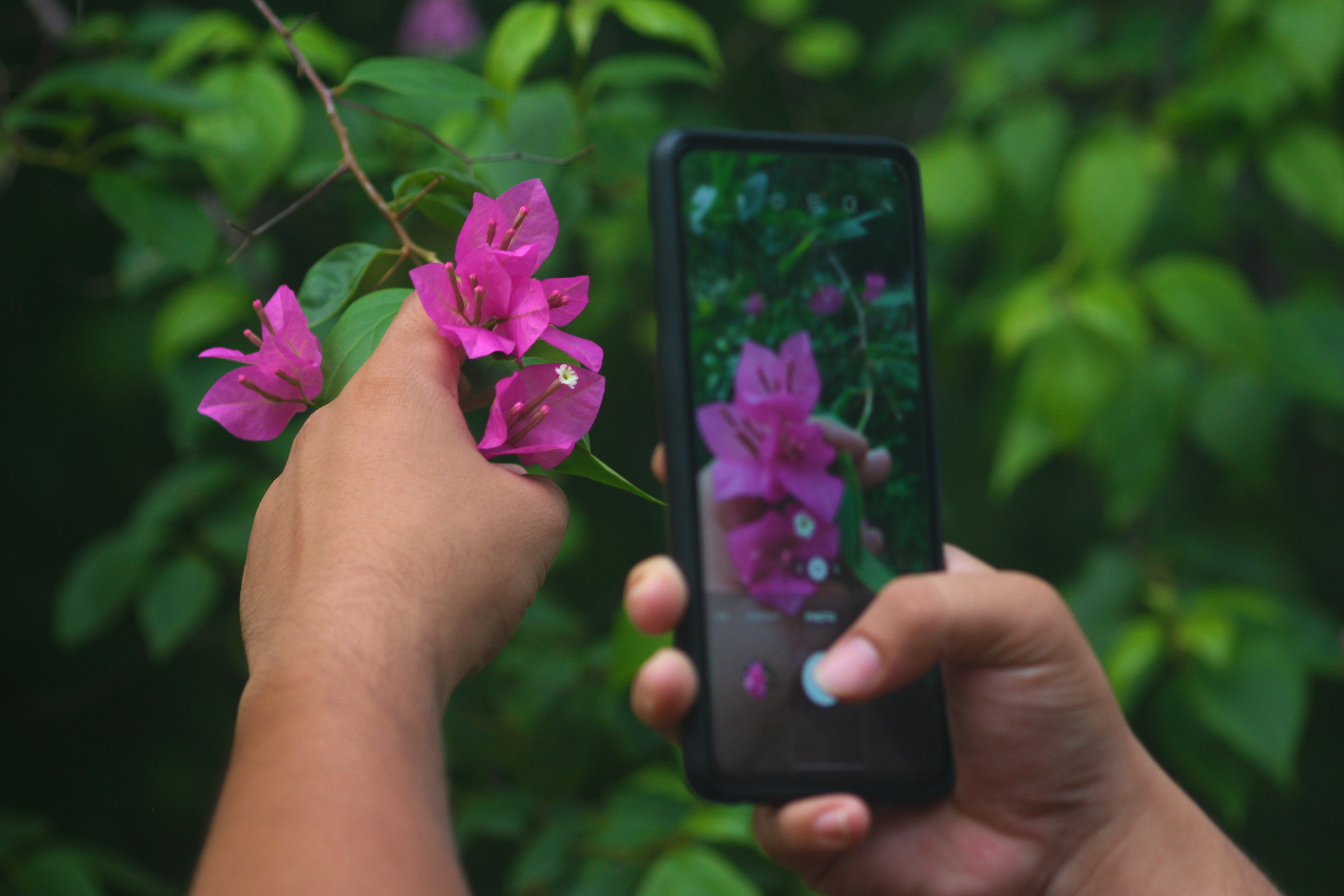 filming on phone for reels