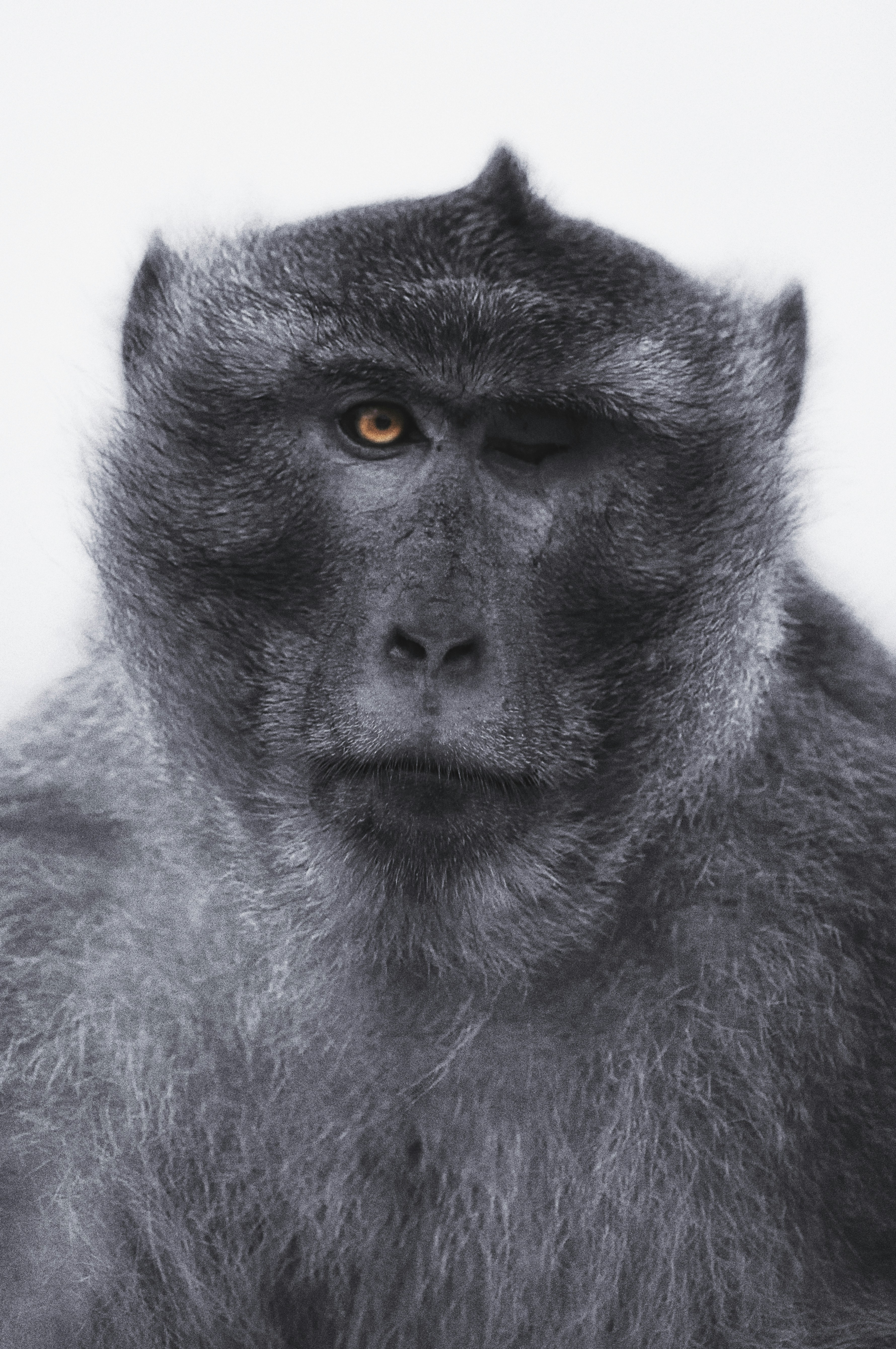 Photo by thom_oxford