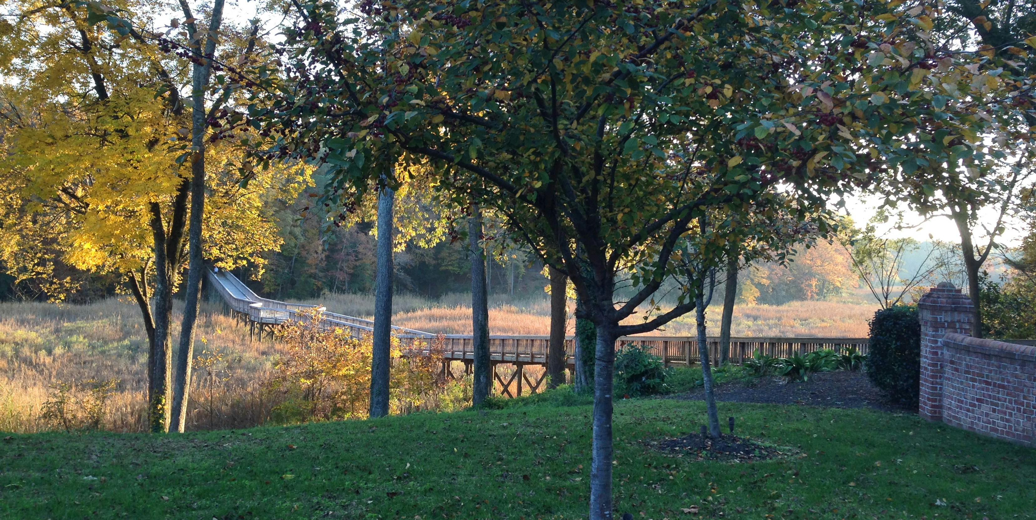 Photo by typosuperhero