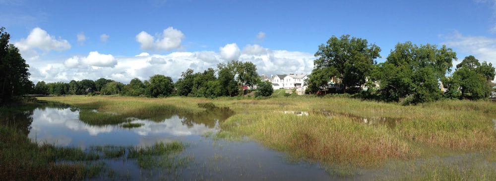 a body of water with grass and trees around it