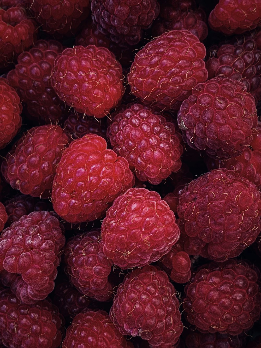 a group of raspberries