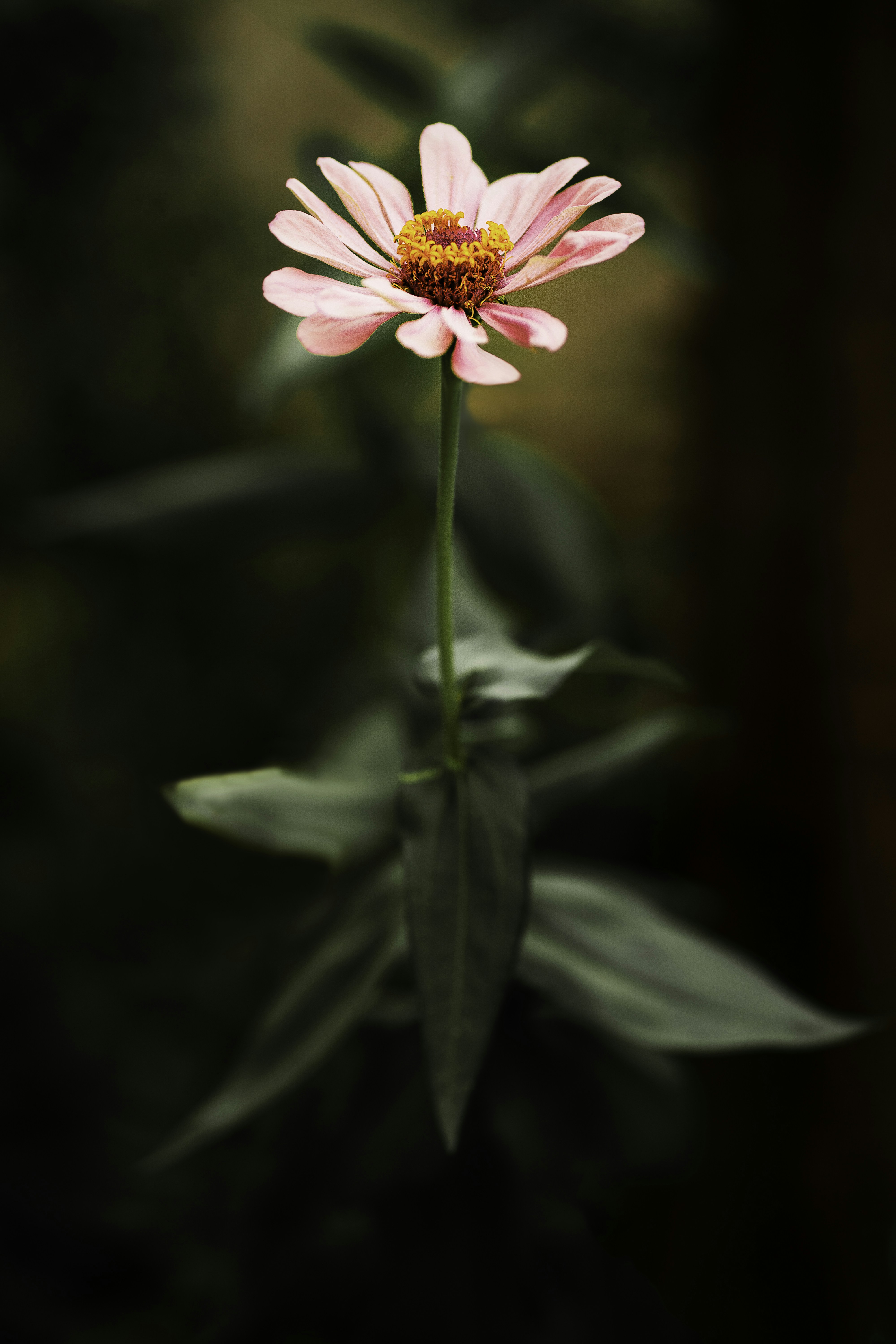 Photo by mostafafadaei