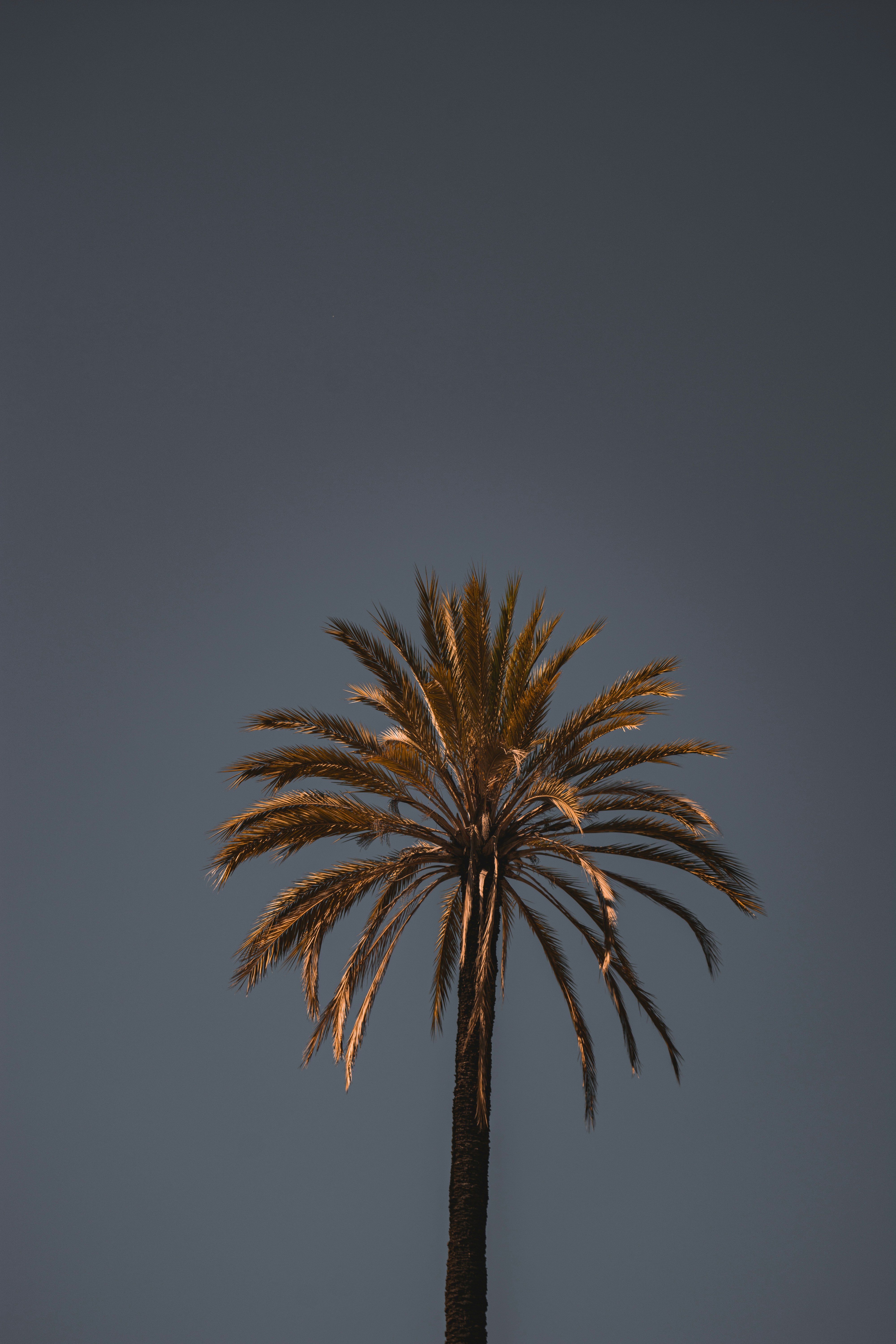 Photo by agataciosek