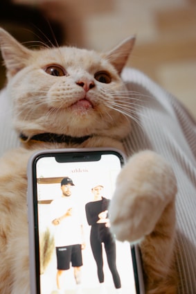 A happy dog and cat sitting together with a smartphone showing a pet profile app.