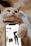 A cozy scene of a user smiling at their phone, with Bobo the virtual kitten playfully perched on the screen.