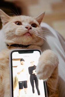 A cat is lying back comfortably, holding a smartphone displaying an image of two people, one in a white shirt and shorts, and the other in black attire with caps. The cat has a relaxed and slightly humorous expression.