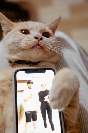 A cat is lying back comfortably, holding a smartphone displaying an image of two people, one in a white shirt and shorts, and the other in black attire with caps. The cat has a relaxed and slightly humorous expression.