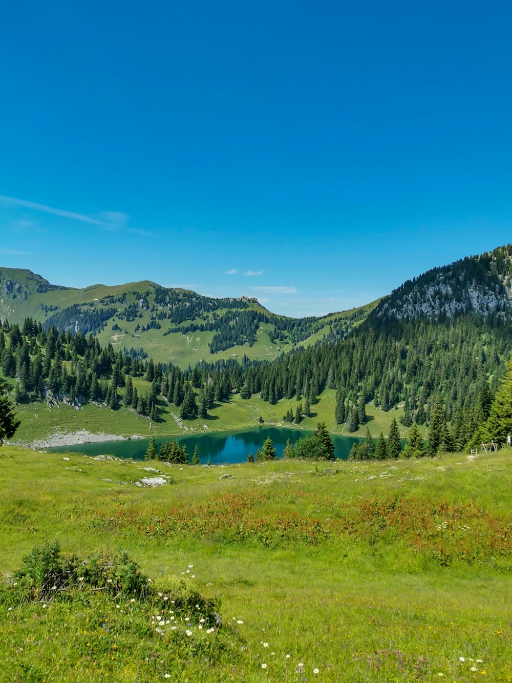 Un lago circondato da montagne e alberi
