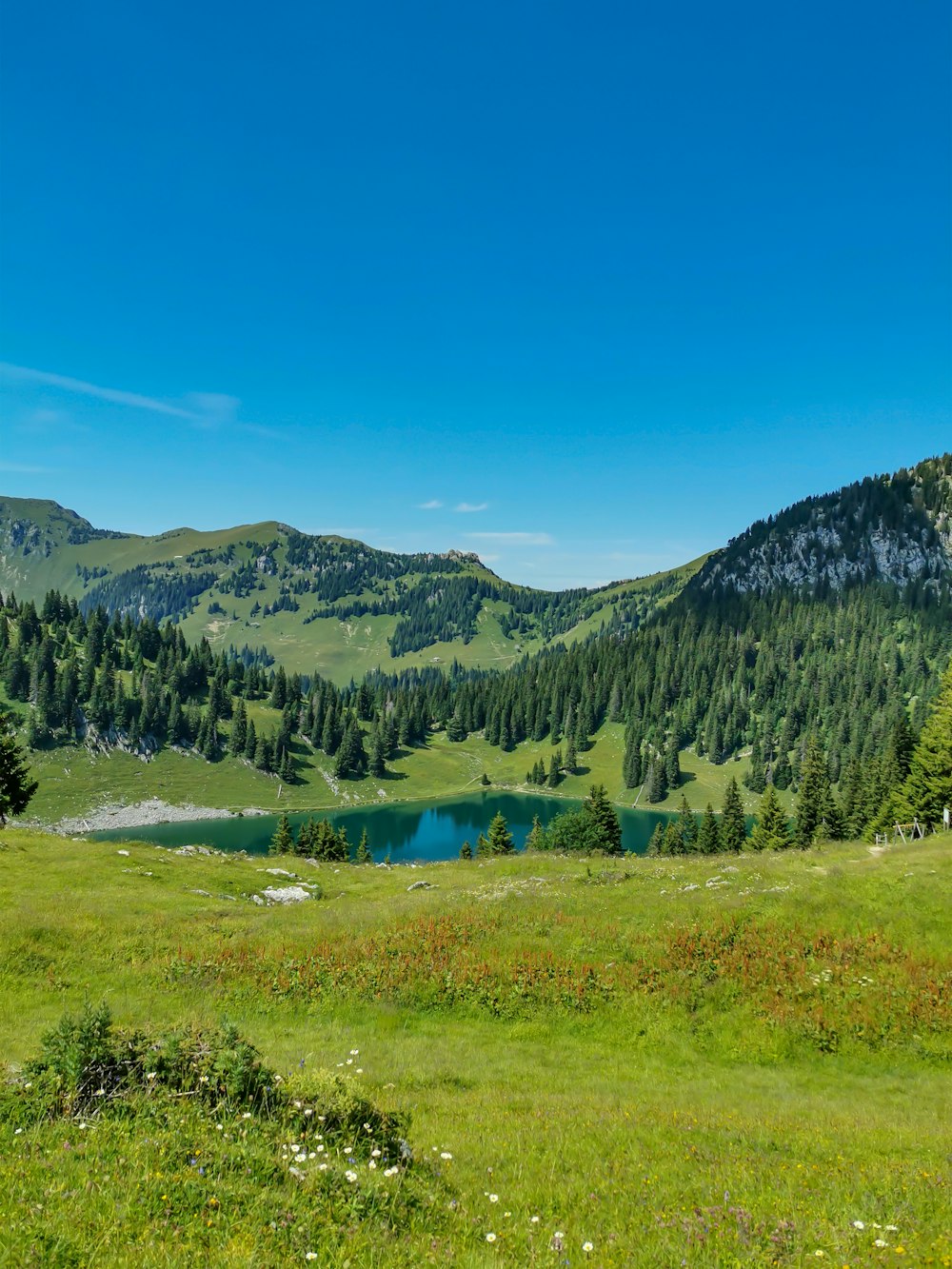 a lake surrounded by mountains and trees