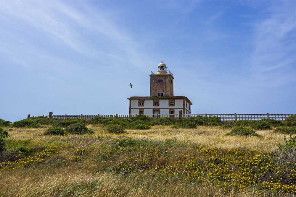 Un edificio con una torre en un campo de hierba