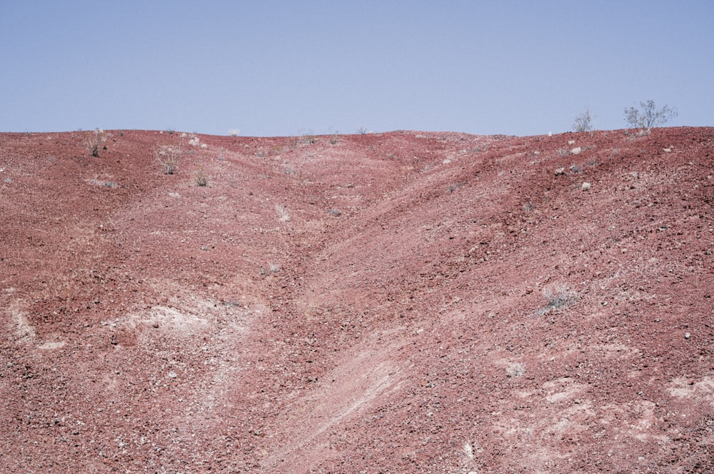 アタカマジャイアントを背景にした赤い土のフィールド