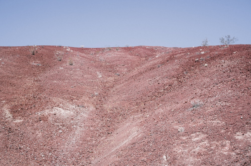 a red dirt field with Atacama Giant in the background