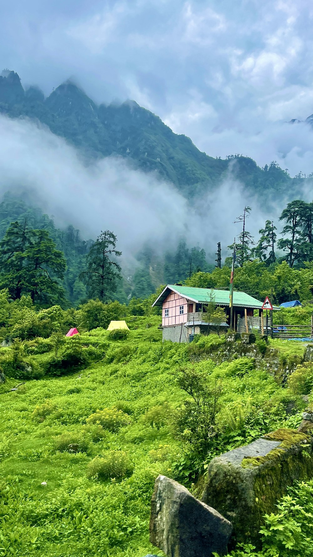 a house in a grassy area with trees and mountains in the background