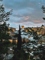 a group of buildings with trees in front of them
