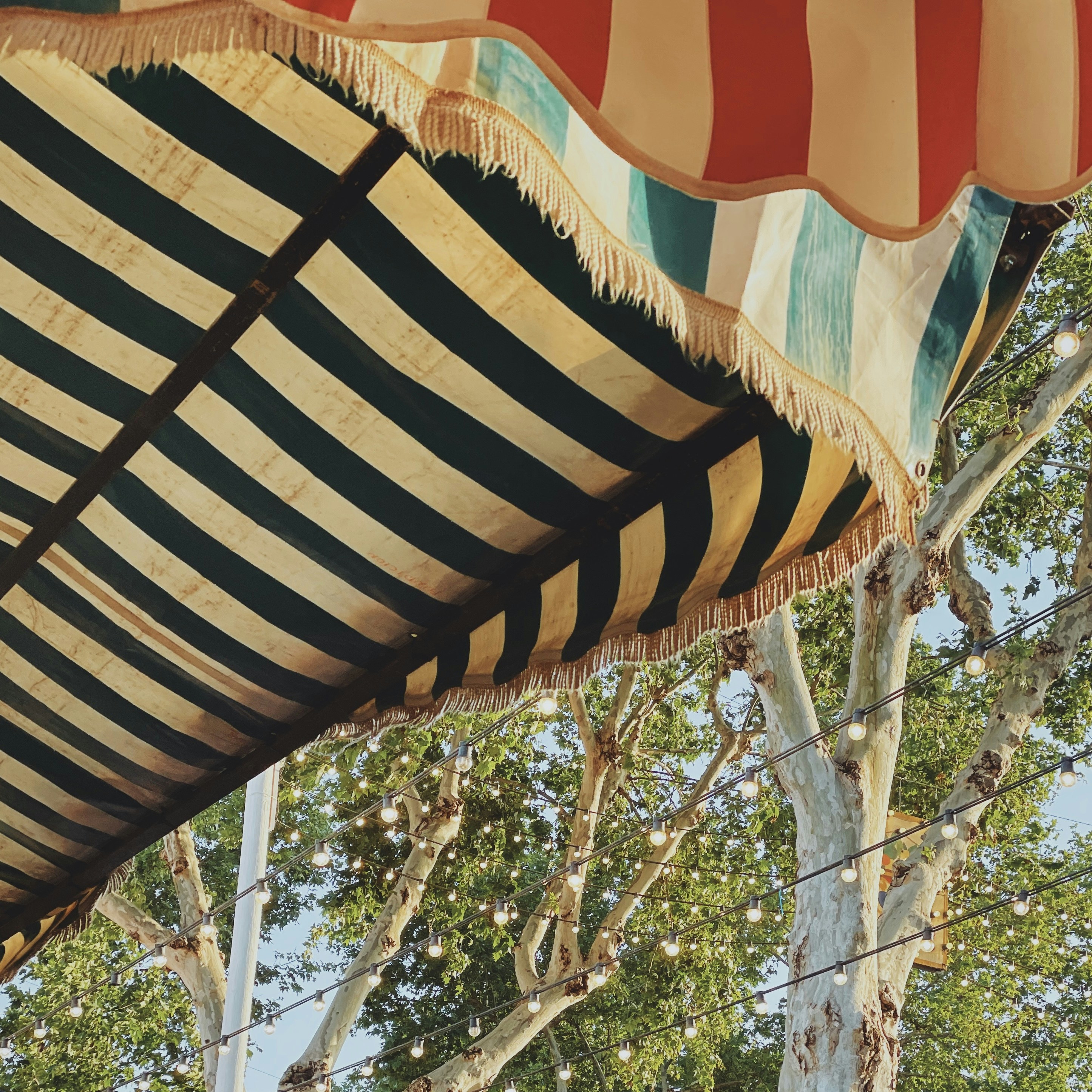 Photo by davidgildelacanal