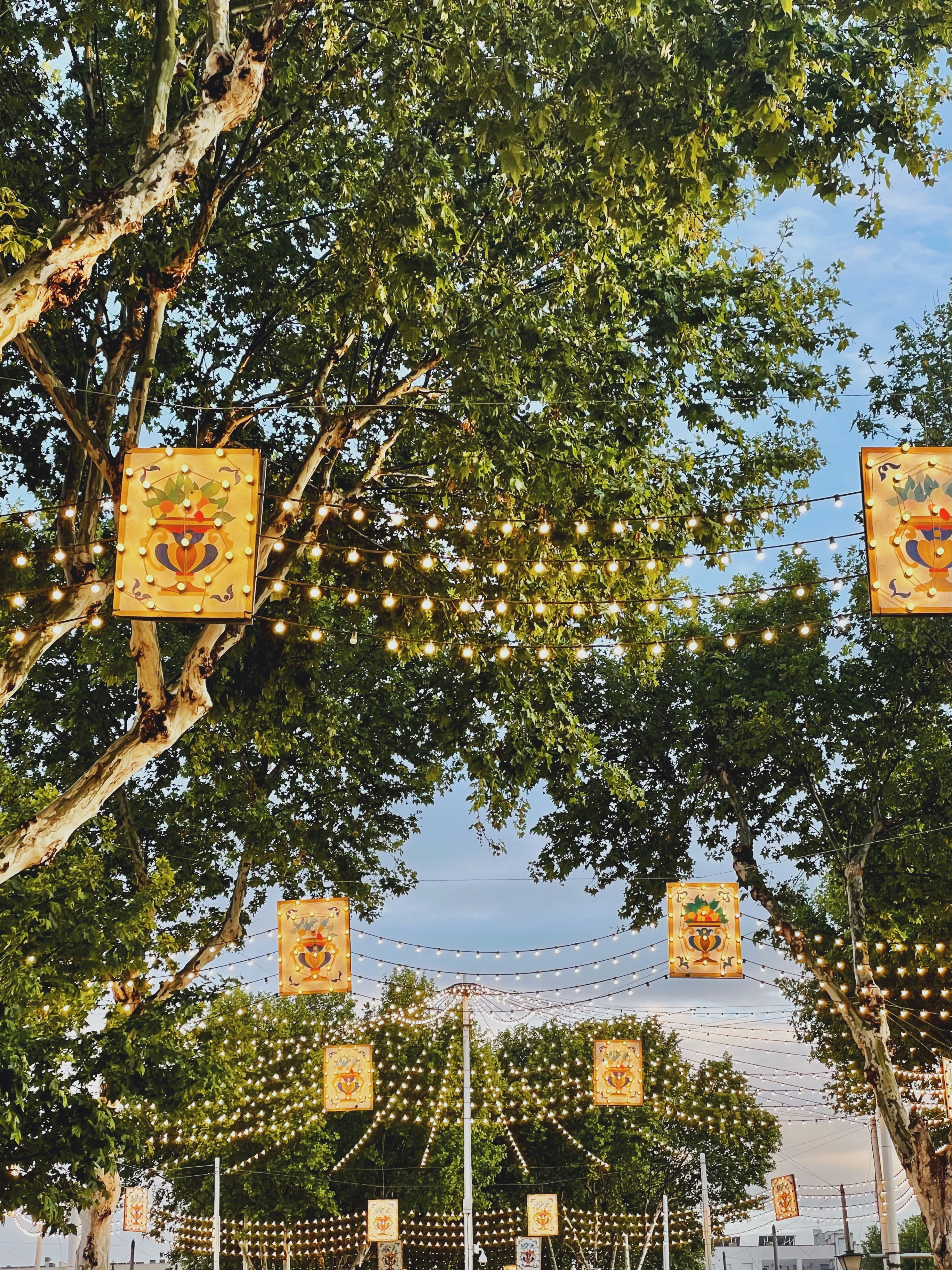 Un grupo de señales de tráfico son de un árbol