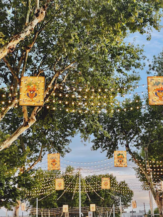 a group of street signs are from a tree
