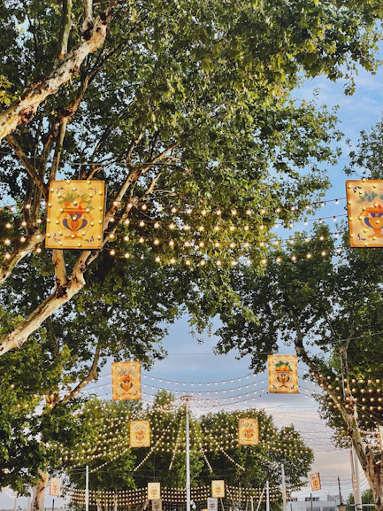 a group of street signs are from a tree