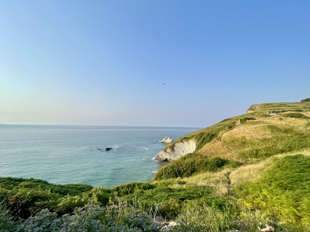 a grassy hill overlooking a body of water