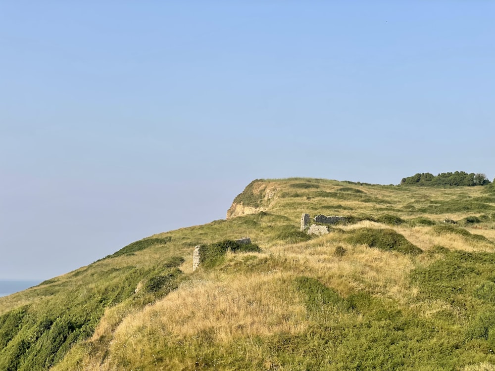 a grassy hill with a stone wall