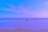 A couple enjoying a serene beach view with clear blue skies and calm waters.