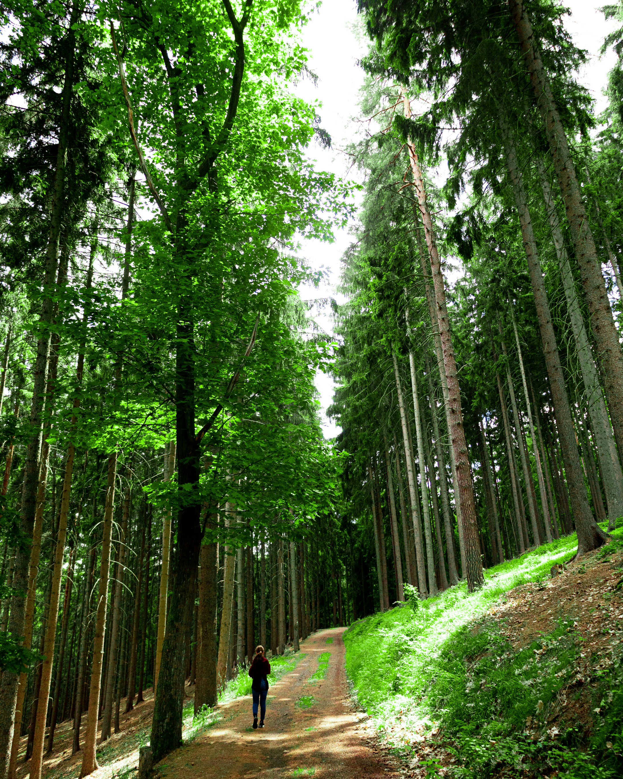 Sustainable Practices in Hokkaido Glamping