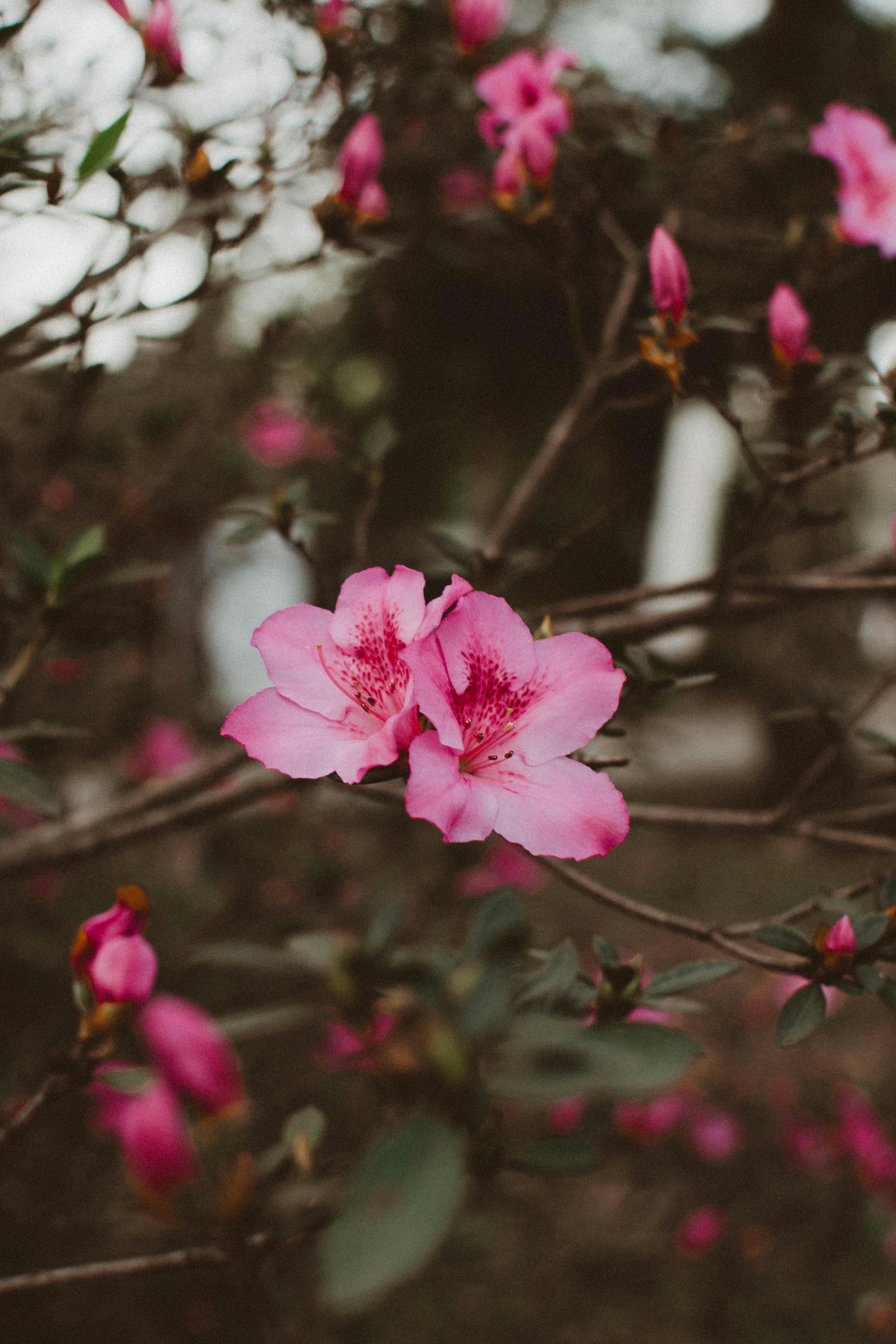 Photo by bnsouzafotografia