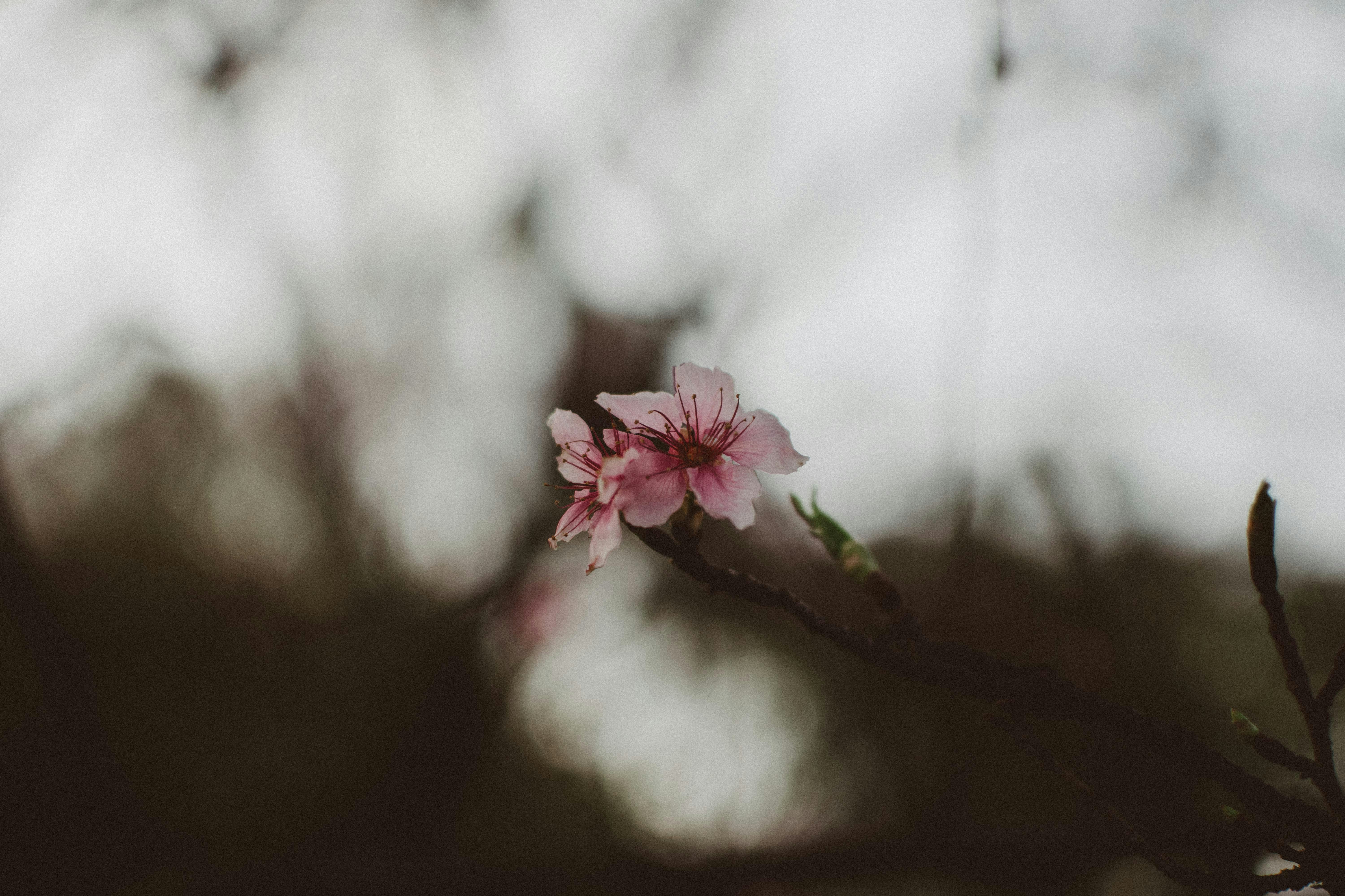 Photo by bnsouzafotografia