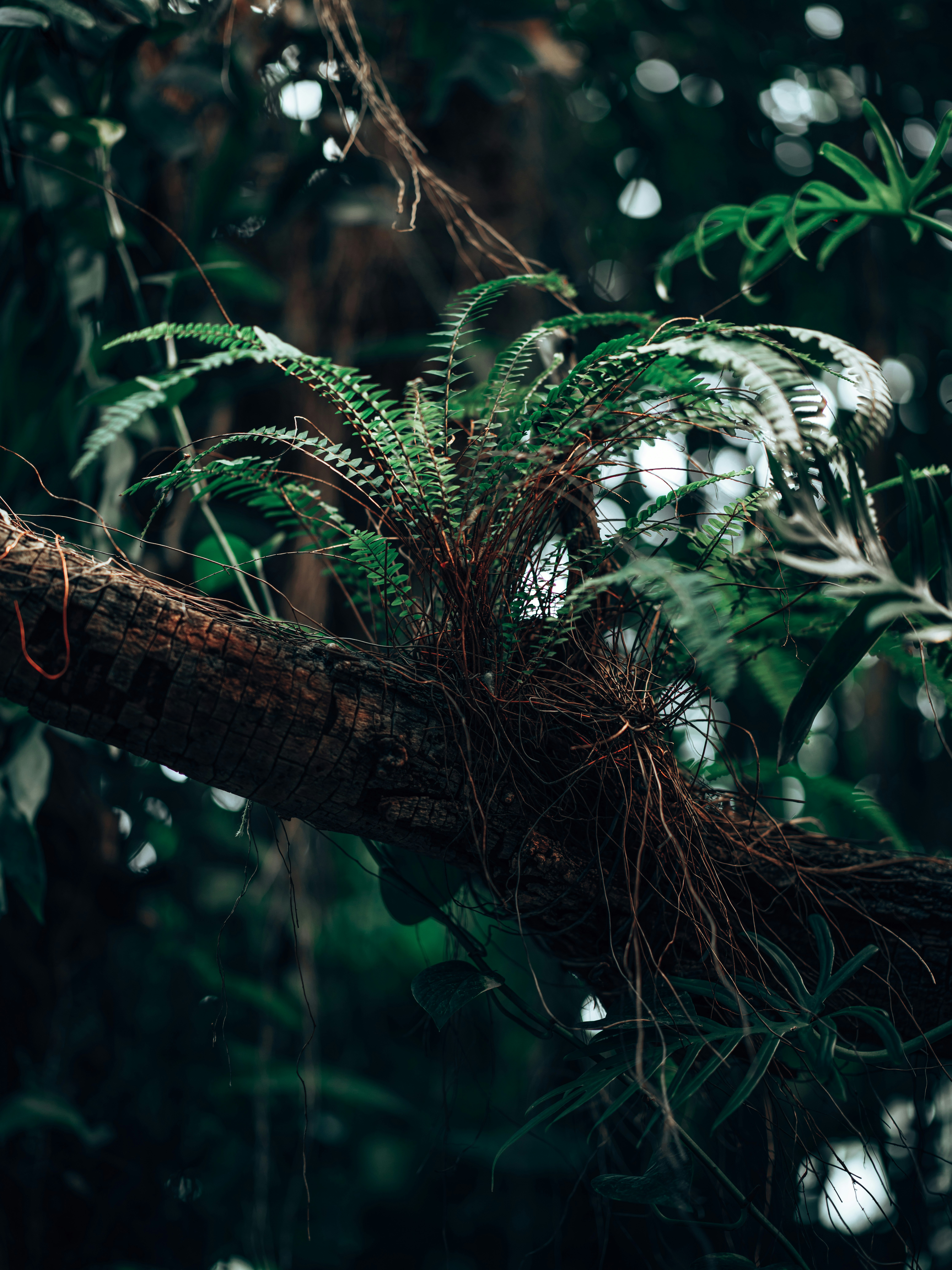 Photo by egorkomarov