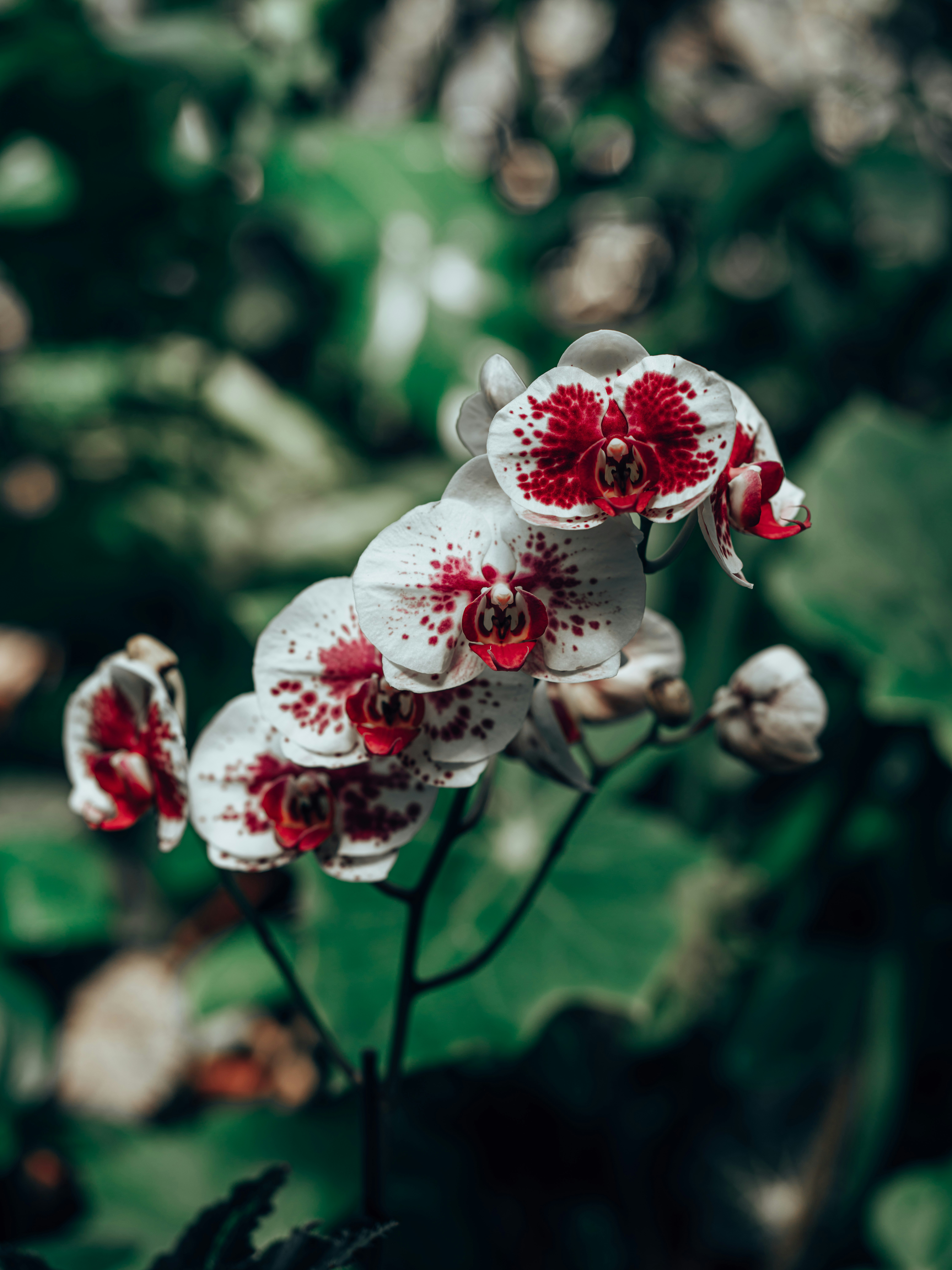 Photo by egorkomarov