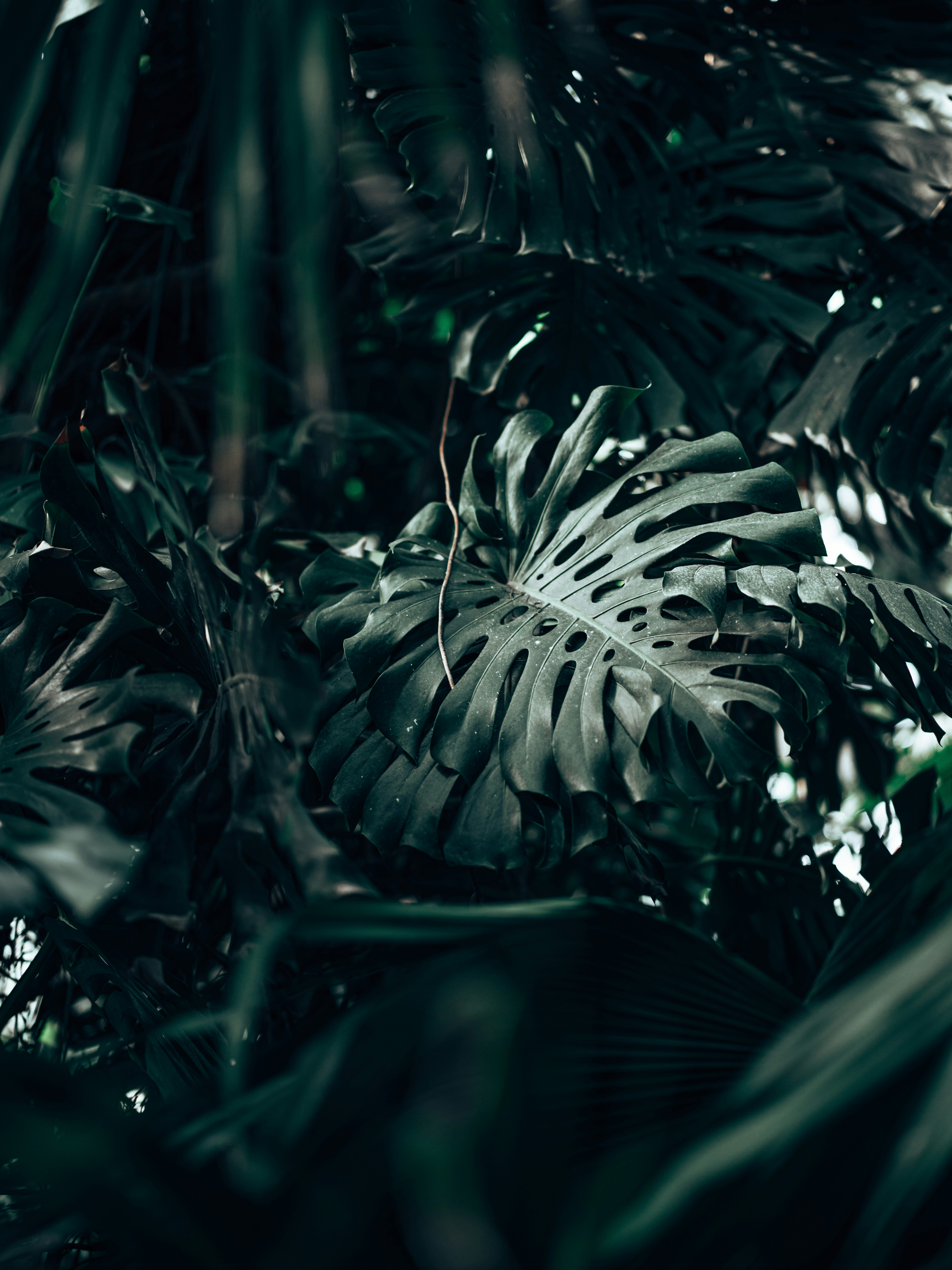 Photo by egorkomarov