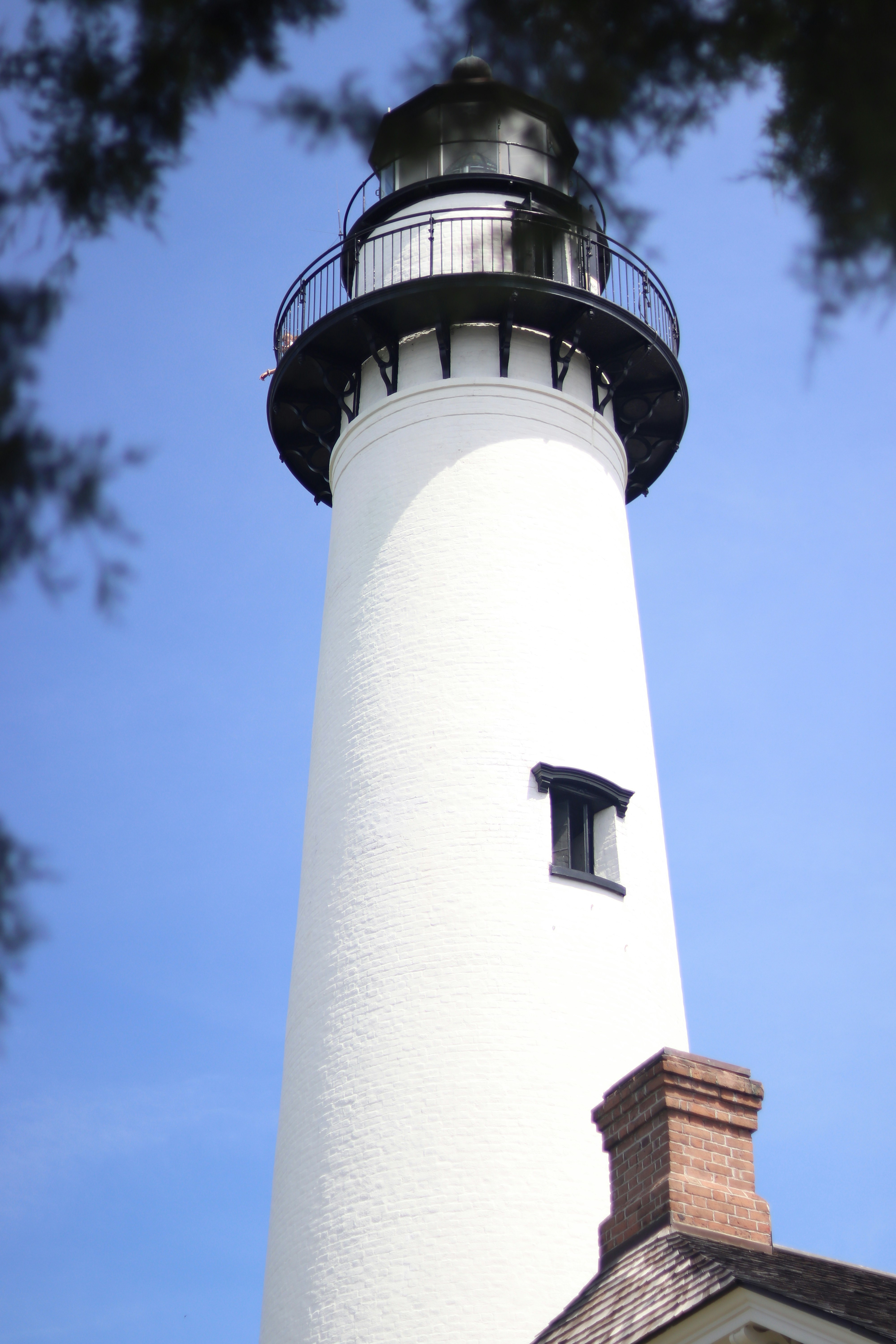 Photo by cameron_elder