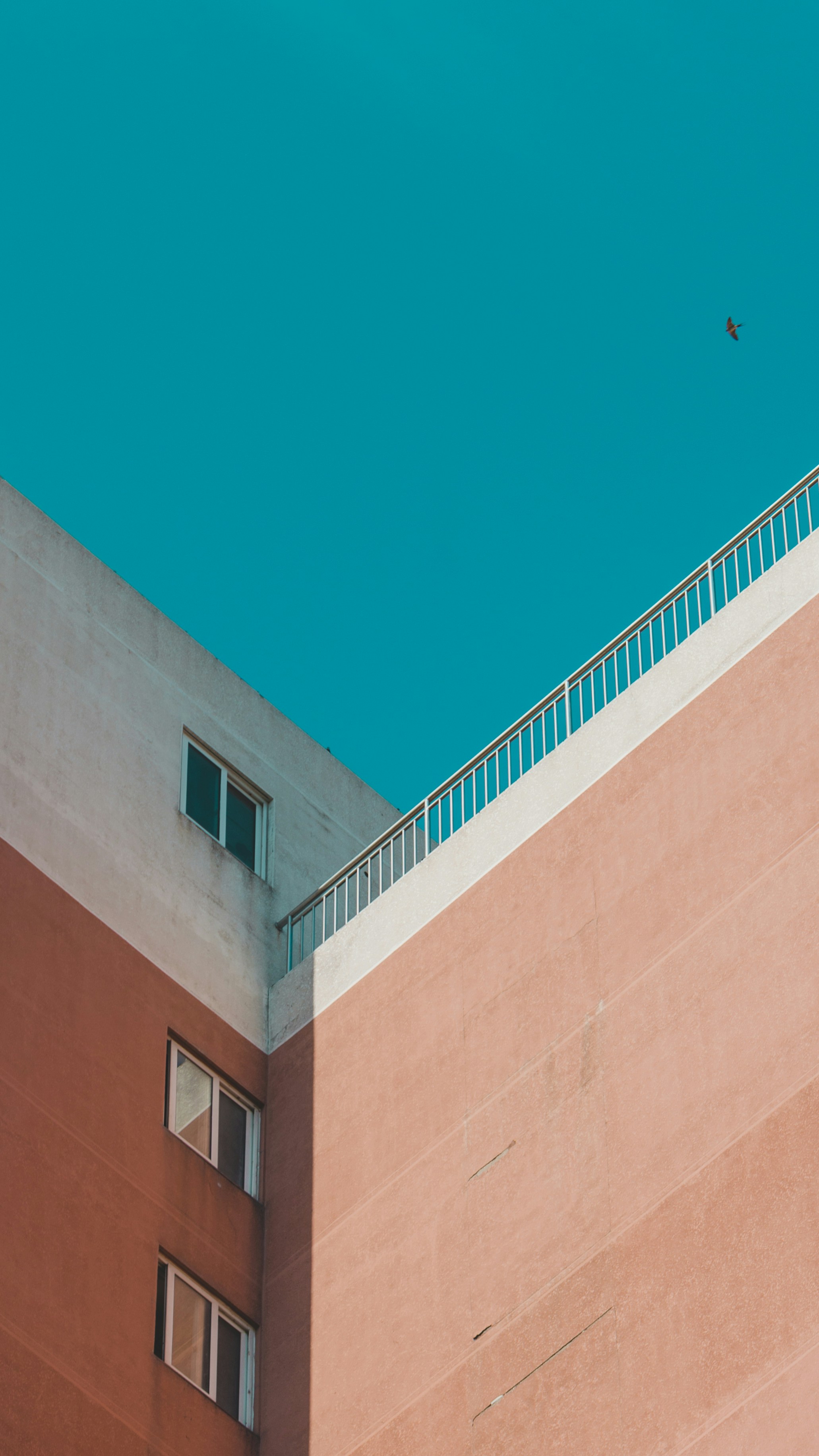 Photo by peek_a_boo_who