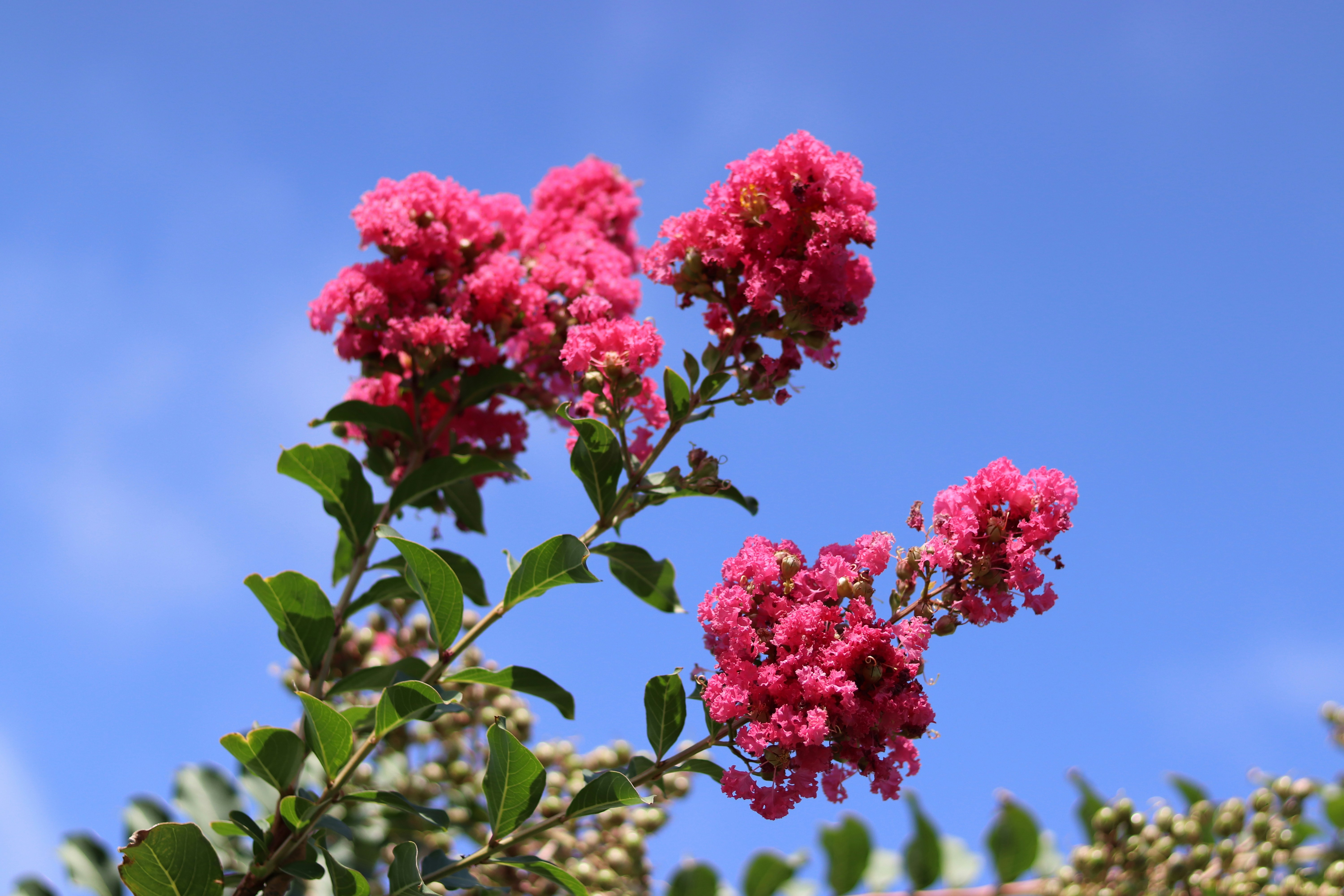 Photo by cameron_elder