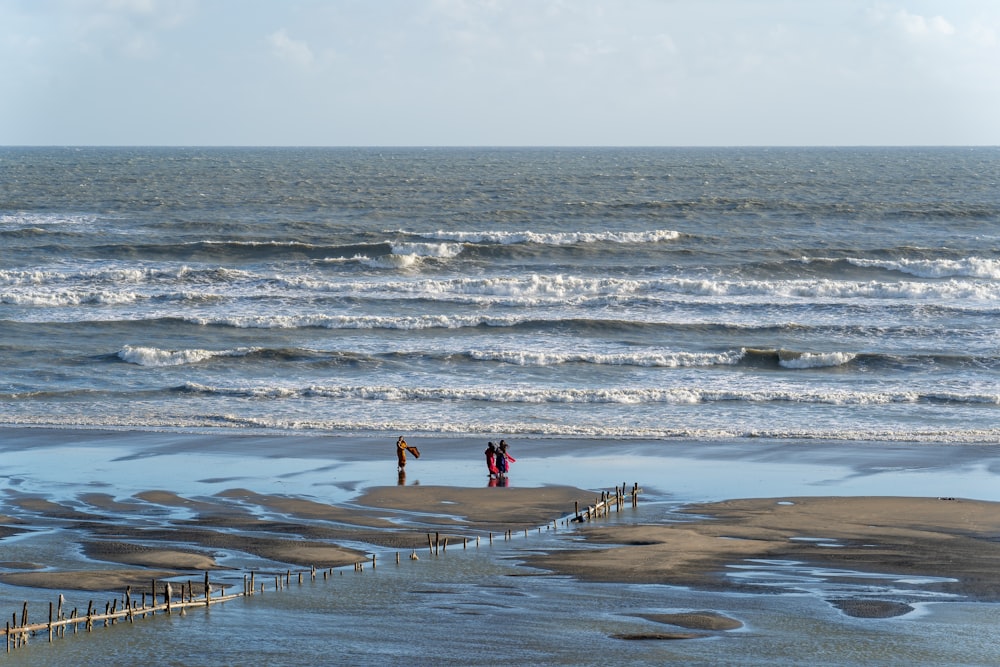 people on a beach