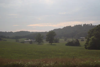 A serene rural landscape showing well-maintained farmland and rustic buildings under a bright sky.
